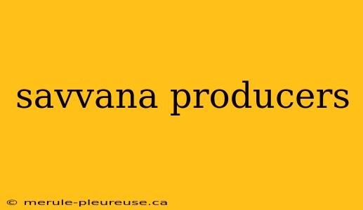 savvana producers