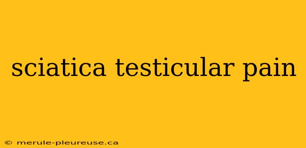 sciatica testicular pain