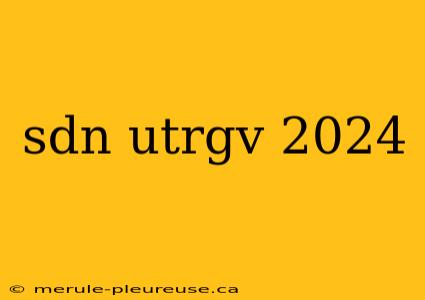 sdn utrgv 2024