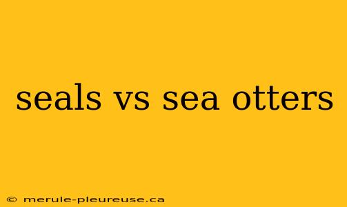 seals vs sea otters