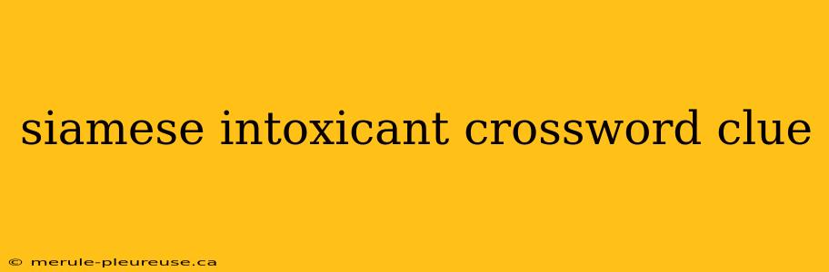 siamese intoxicant crossword clue