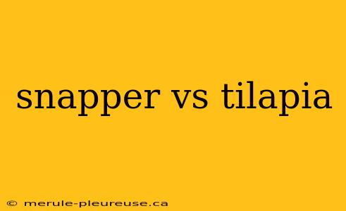 snapper vs tilapia