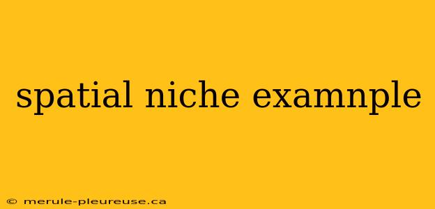 spatial niche examnple