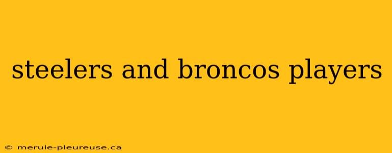 steelers and broncos players