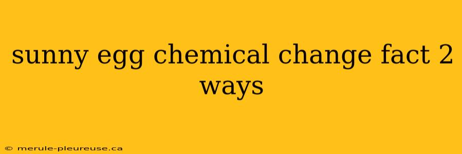 sunny egg chemical change fact 2 ways