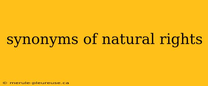 synonyms of natural rights