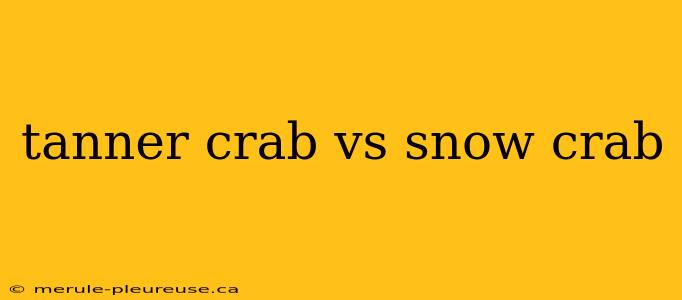 tanner crab vs snow crab