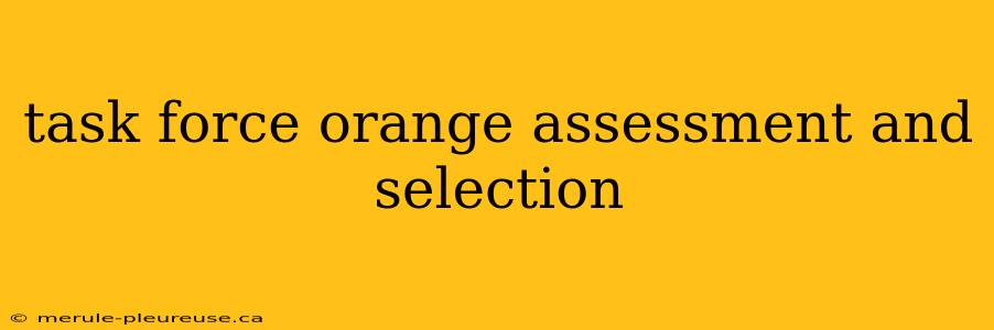 task force orange assessment and selection