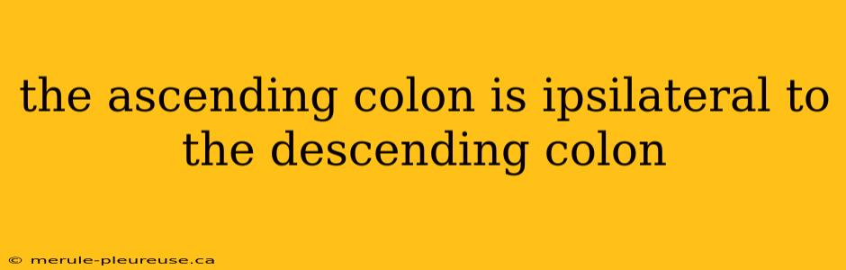 the ascending colon is ipsilateral to the descending colon