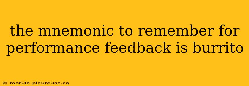 the mnemonic to remember for performance feedback is burrito