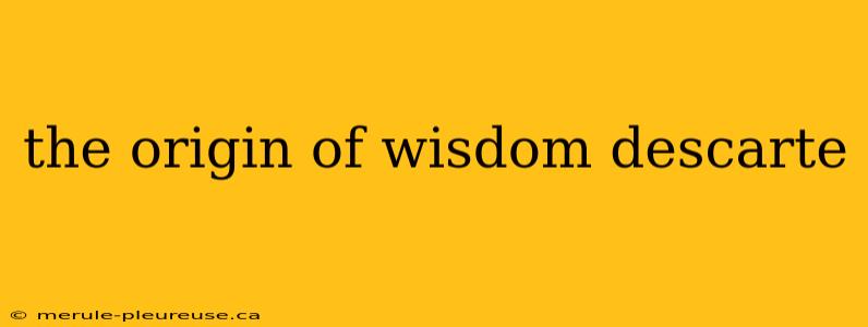 the origin of wisdom descarte