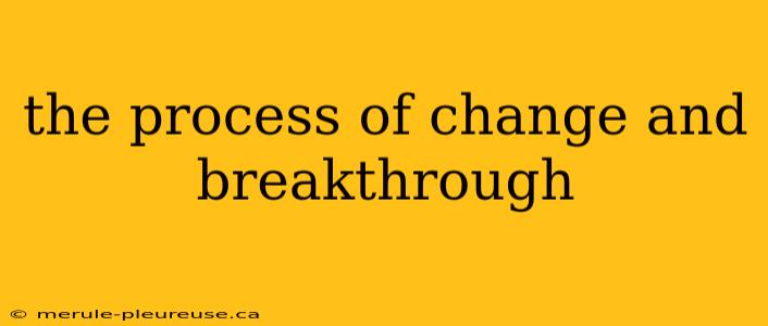 the process of change and breakthrough