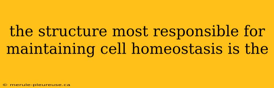 the structure most responsible for maintaining cell homeostasis is the