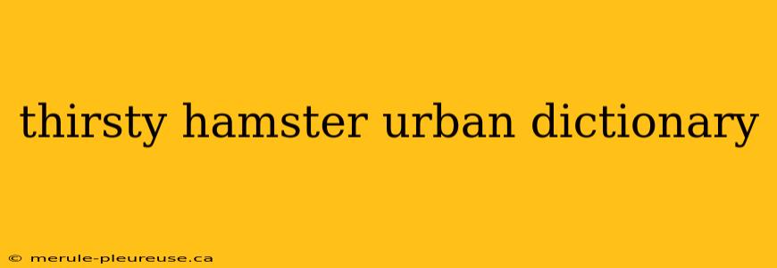 thirsty hamster urban dictionary