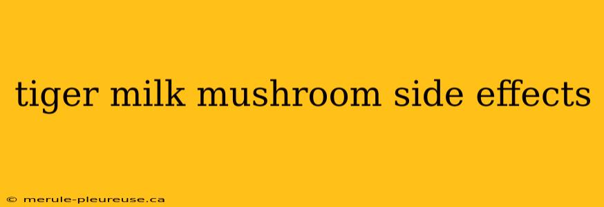 tiger milk mushroom side effects