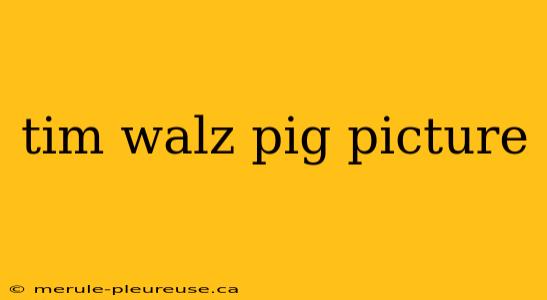 tim walz pig picture