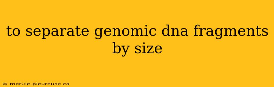 to separate genomic dna fragments by size