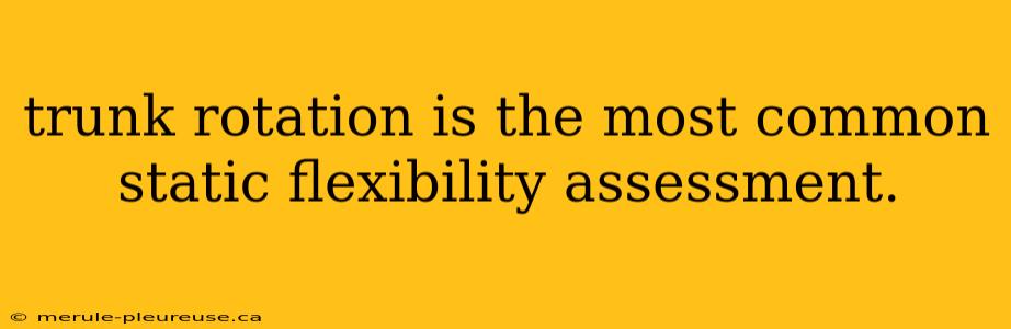 trunk rotation is the most common static flexibility assessment.