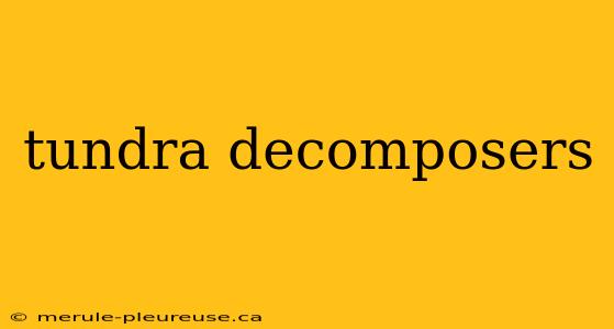 tundra decomposers