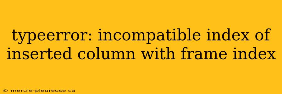 typeerror: incompatible index of inserted column with frame index