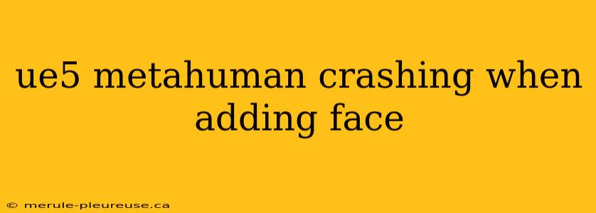 ue5 metahuman crashing when adding face