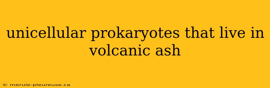 unicellular prokaryotes that live in volcanic ash