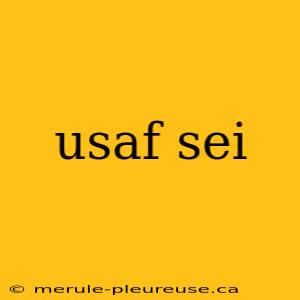 usaf sei