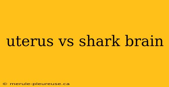 uterus vs shark brain