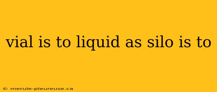 vial is to liquid as silo is to