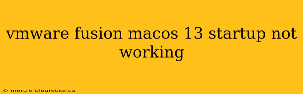 vmware fusion macos 13 startup not working