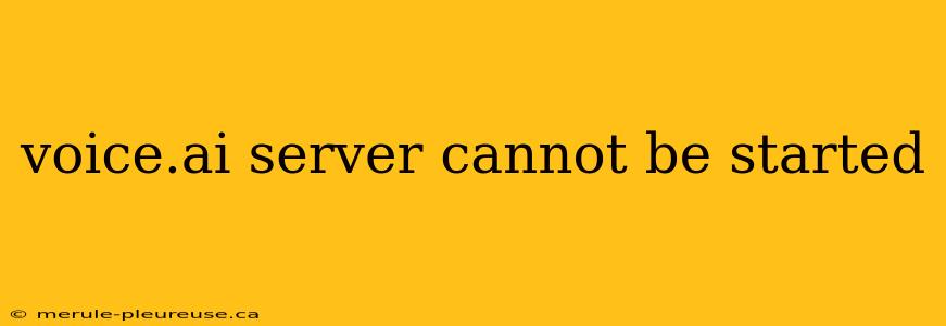voice.ai server cannot be started