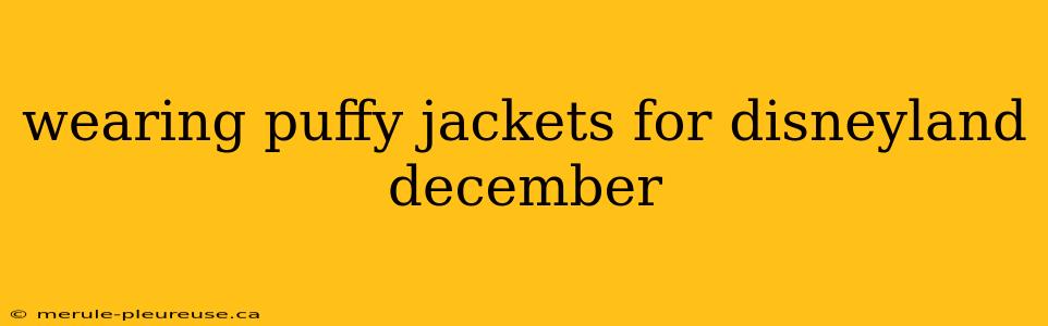 wearing puffy jackets for disneyland december