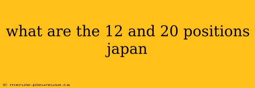 what are the 12 and 20 positions japan