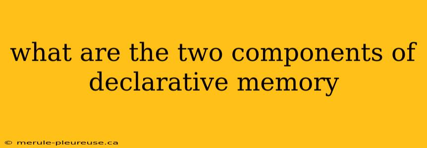 what are the two components of declarative memory