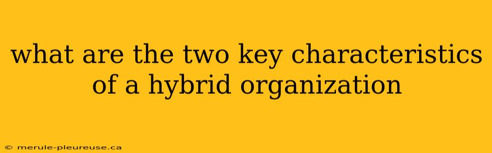 what are the two key characteristics of a hybrid organization