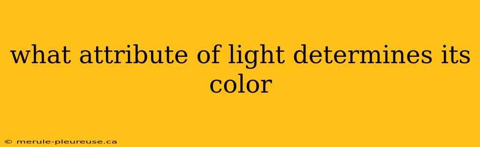 what attribute of light determines its color