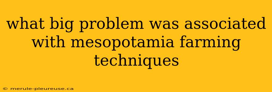 what big problem was associated with mesopotamia farming techniques