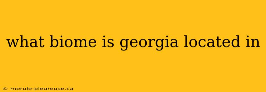 what biome is georgia located in