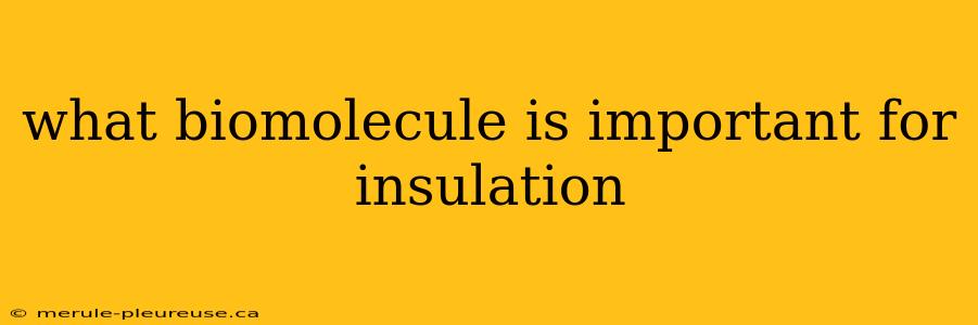 what biomolecule is important for insulation