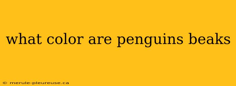 what color are penguins beaks