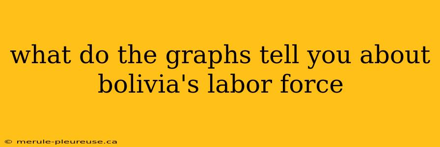 what do the graphs tell you about bolivia's labor force