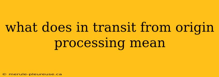 what does in transit from origin processing mean