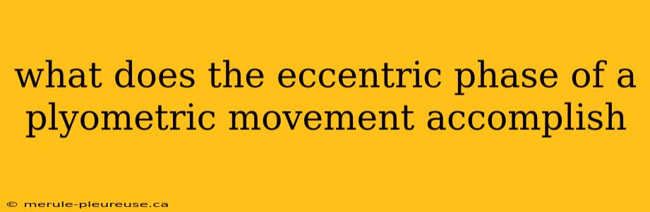 what does the eccentric phase of a plyometric movement accomplish