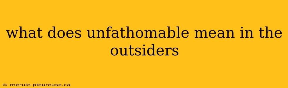 what does unfathomable mean in the outsiders