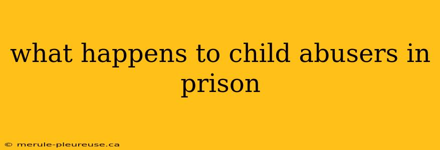 what happens to child abusers in prison