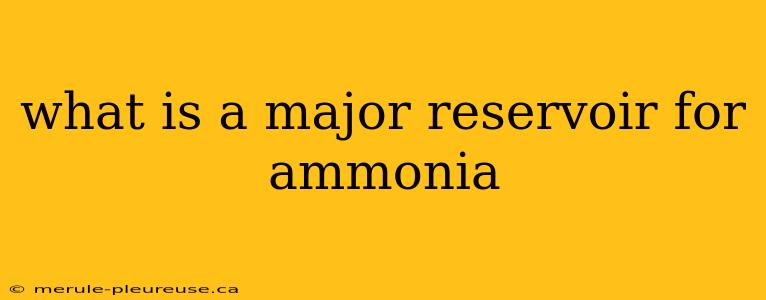 what is a major reservoir for ammonia