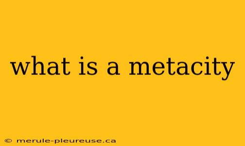 what is a metacity