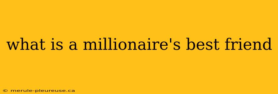 what is a millionaire's best friend