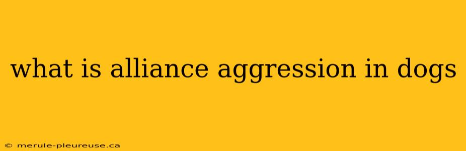 what is alliance aggression in dogs