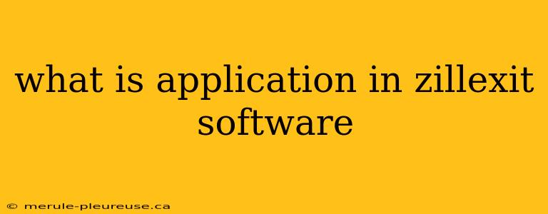 what is application in zillexit software